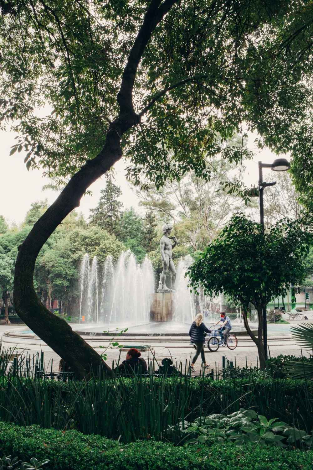 Art Festival 2025: Immersive Experiences